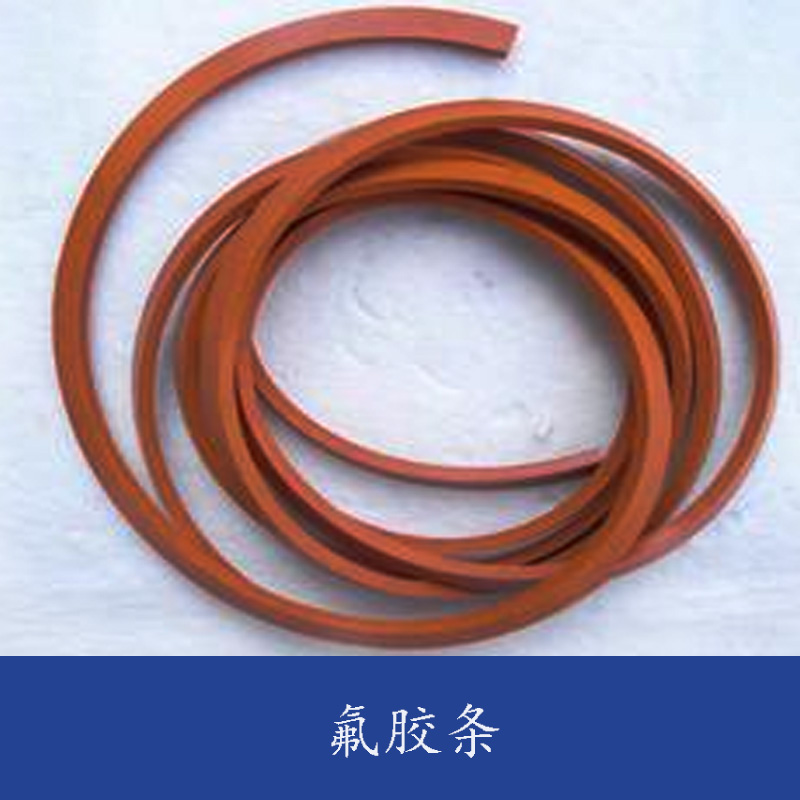 氟膠條圖片/氟膠條樣板圖 (3)