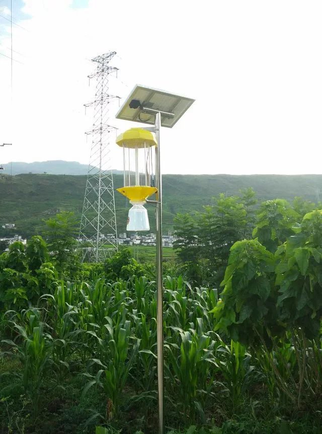 蔬菜杀虫灯厂家销售 大棚农用诱虫灯批发价格 太阳能杀虫灯 频振式 蔬菜基地图片