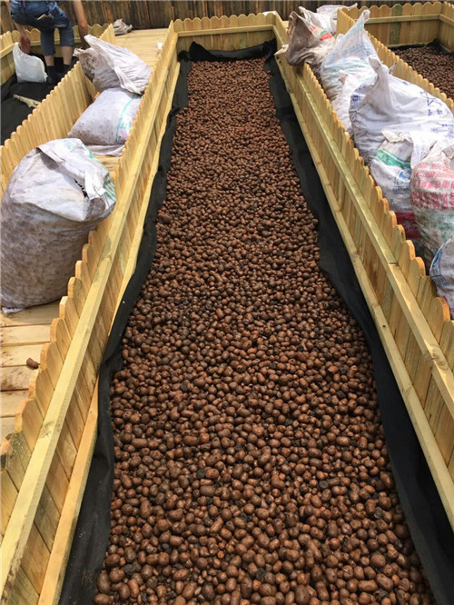 建筑陶粒圖片/建筑陶粒樣板圖 (4)