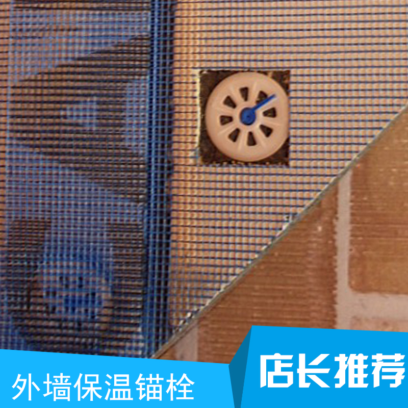 外墻保溫錨栓批發(fā) 工程*塑料固定錨栓 外墻保溫錨栓價(jià)格