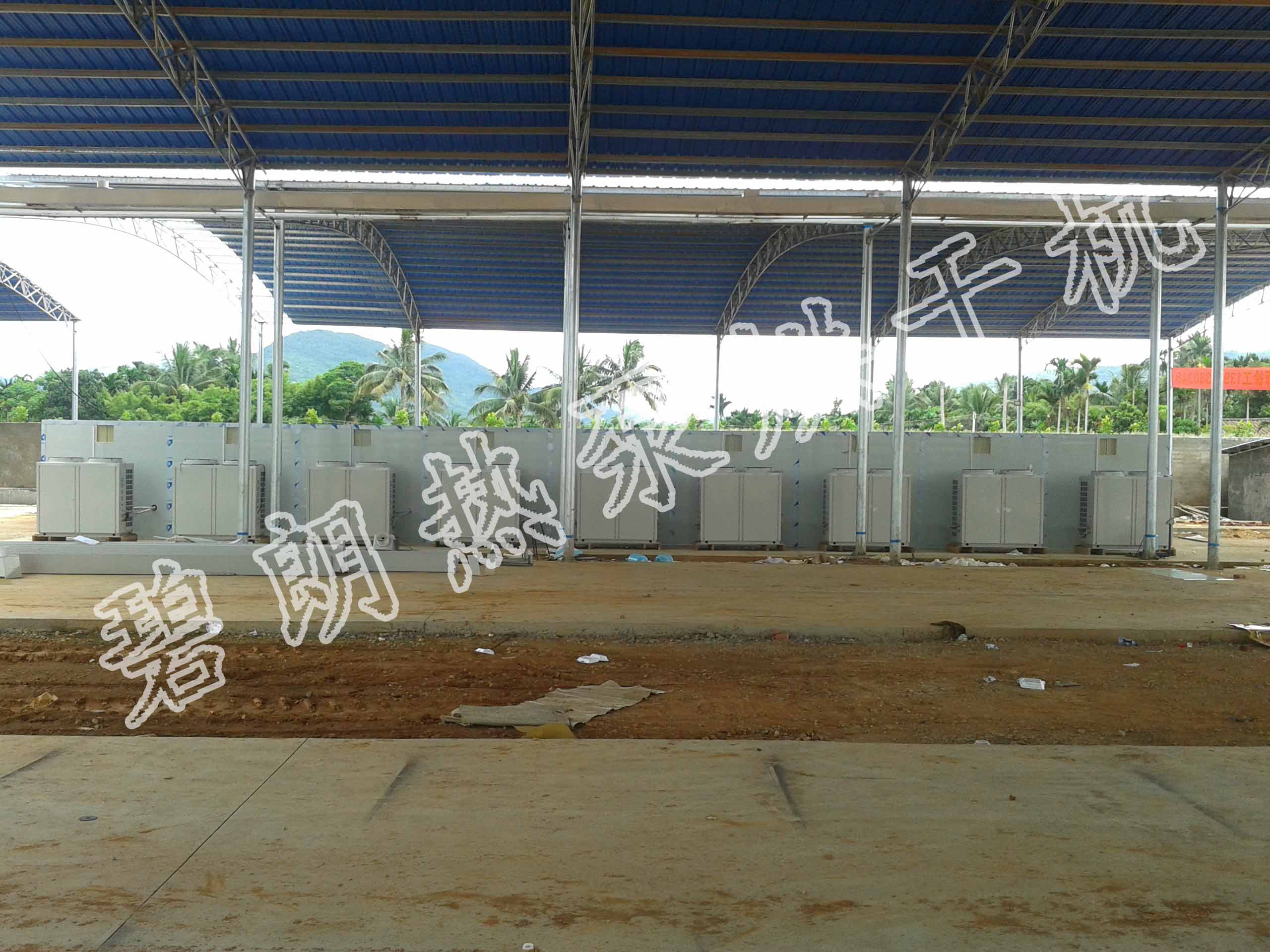 檳榔烘干圖片/檳榔烘干樣板圖 (2)