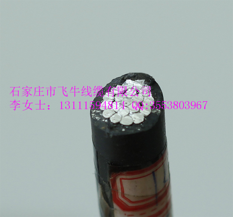 JKLYJ-16圖片/JKLYJ-16樣板圖 (2)