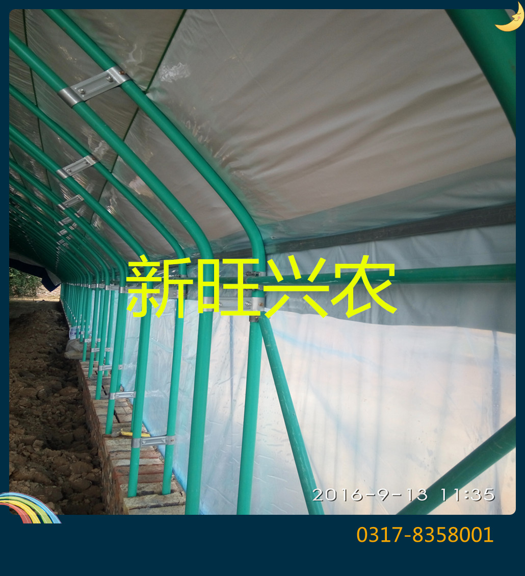 養(yǎng)豬大棚圖片/養(yǎng)豬大棚樣板圖 (4)