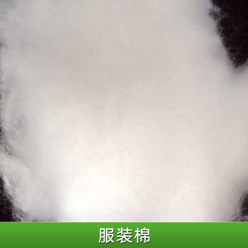 服裝棉圖片/服裝棉樣板圖 (4)