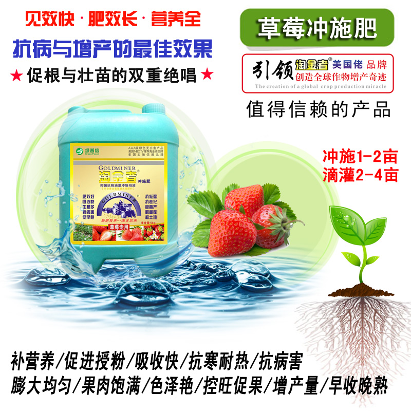 進口淘金者草莓沖施肥