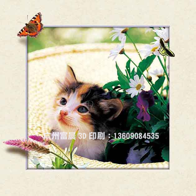 3D立體畫(huà)圖片/3D立體畫(huà)樣板圖 (3)