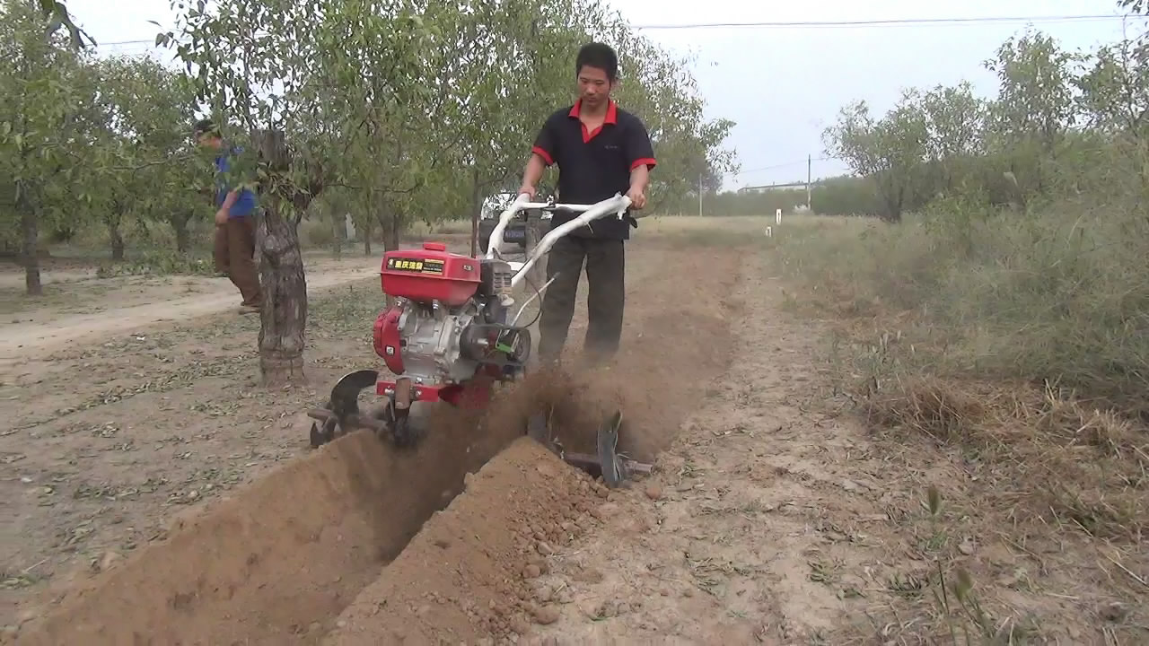 果園開溝施肥 回填