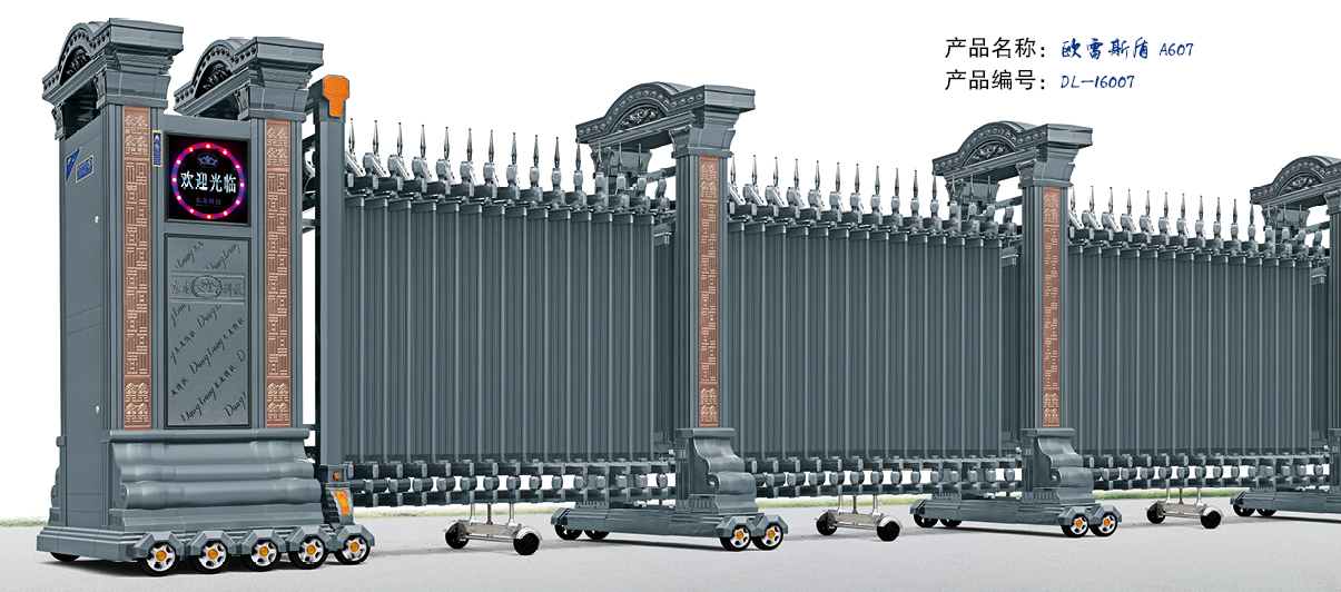 電動(dòng)門歐雷斯盾圖片/電動(dòng)門歐雷斯盾樣板圖 (2)
