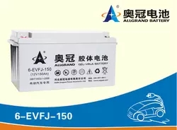 奥冠蓄电池6-EVFJ-150图片