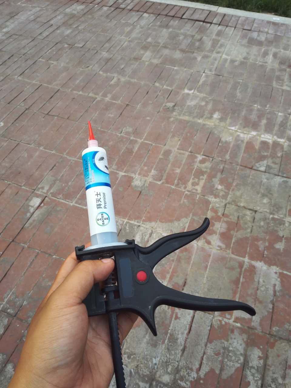 個人家庭蟑螂消殺 個人家庭、飯店蟑螂消殺