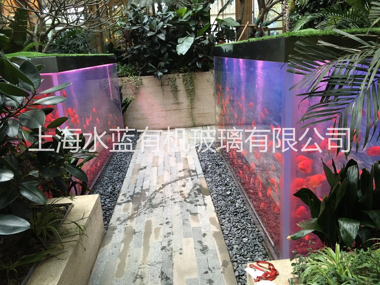 上海定制淡水亞克力生態(tài)景觀水族箱圖片