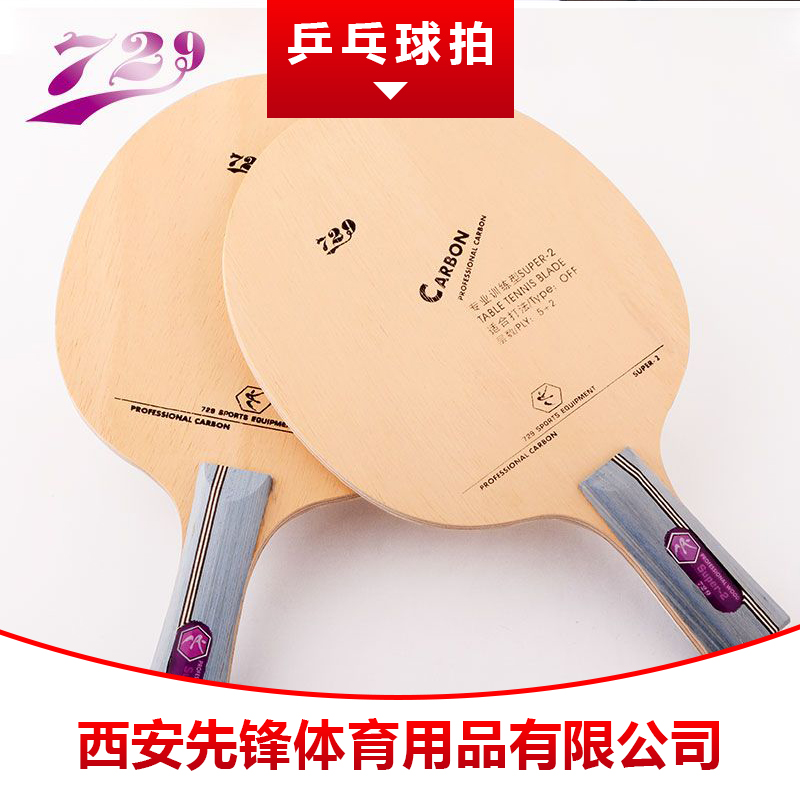 乒乓球拍圖片/乒乓球拍樣板圖 (3)