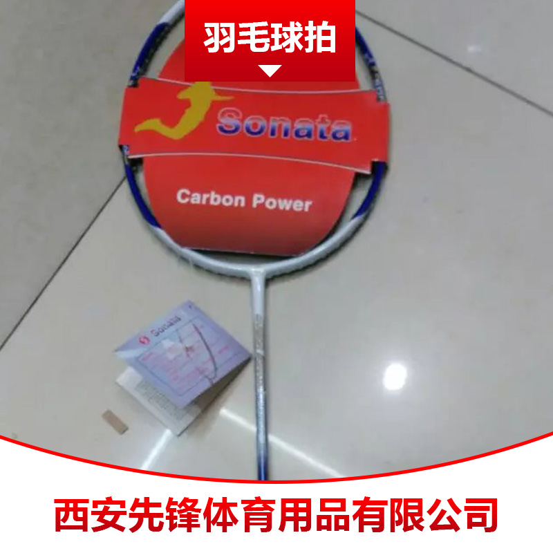 陜西西安羽毛球拍圖片/陜西西安羽毛球拍樣板圖 (2)