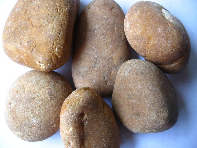 鵝卵石濾料圖片/鵝卵石濾料樣板圖 (3)