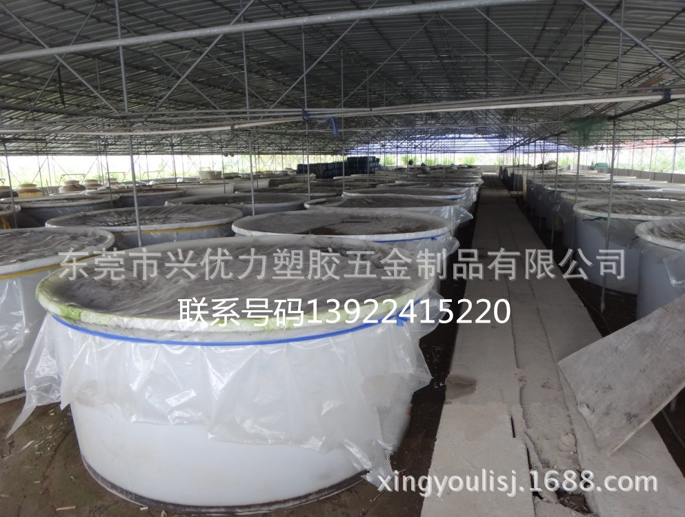 敞口圓桶圖片/敞口圓桶樣板圖 (3)