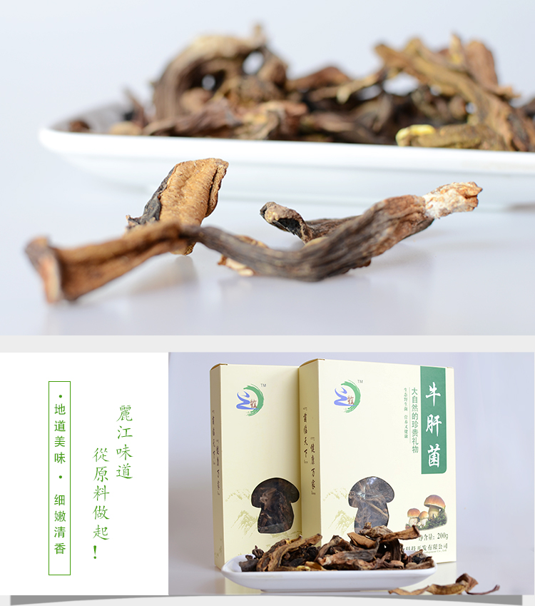牛肝菌圖片/牛肝菌樣板圖 (4)