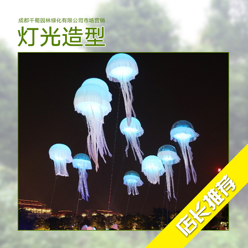 燈光造型 燈光特色產(chǎn)品 LED圖案造型燈 夢幻燈光節(jié)定制