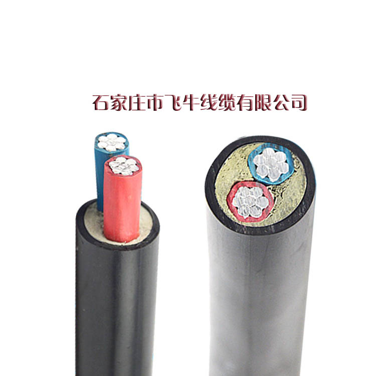 電力電纜價格 VLV2*10圖片