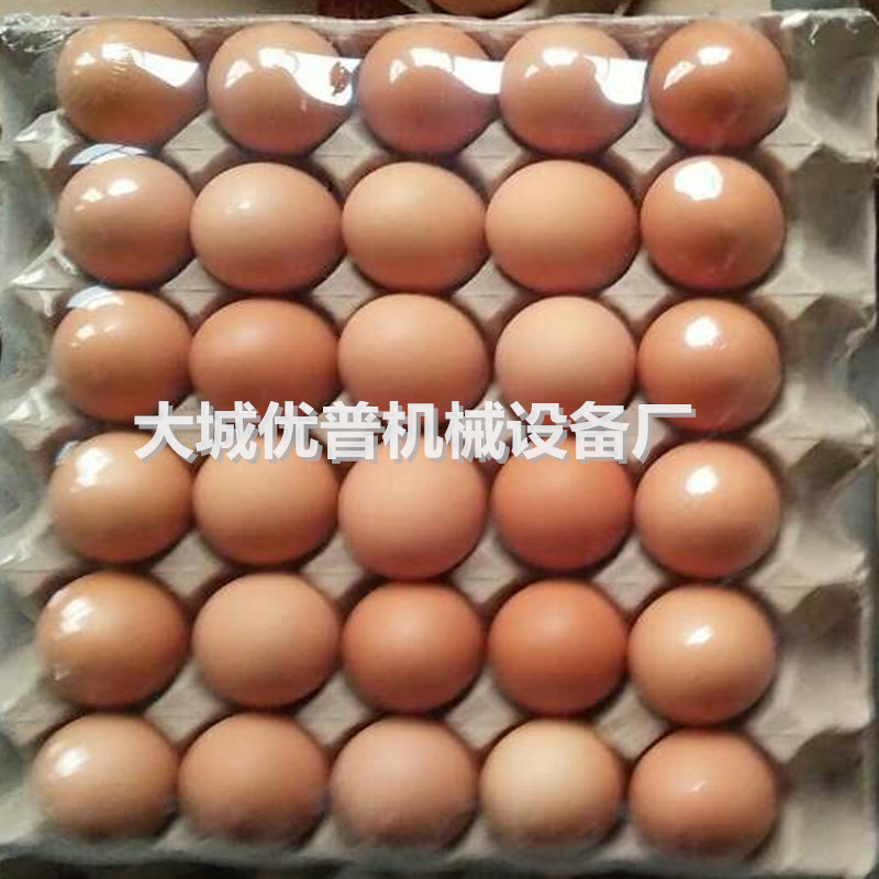 全自動(dòng)套膜熱收縮包裝機(jī) 雞蛋熱縮膜收縮機(jī) 塑封機(jī)生產(chǎn)廠家 全自動(dòng)套膜封切熱收縮包裝機(jī)
