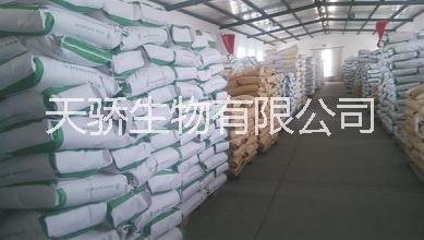 奶酪圖片/奶酪樣板圖 (4)