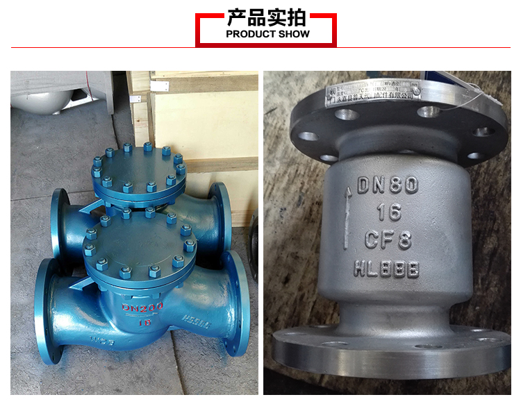 立式止回閥圖片