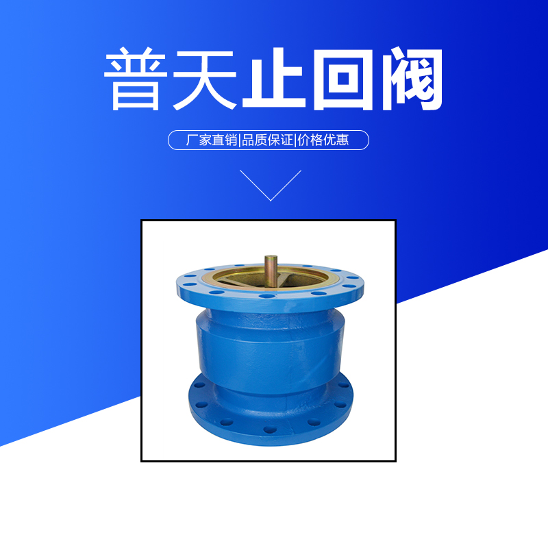 立式止回閥圖片/立式止回閥樣板圖 (2)