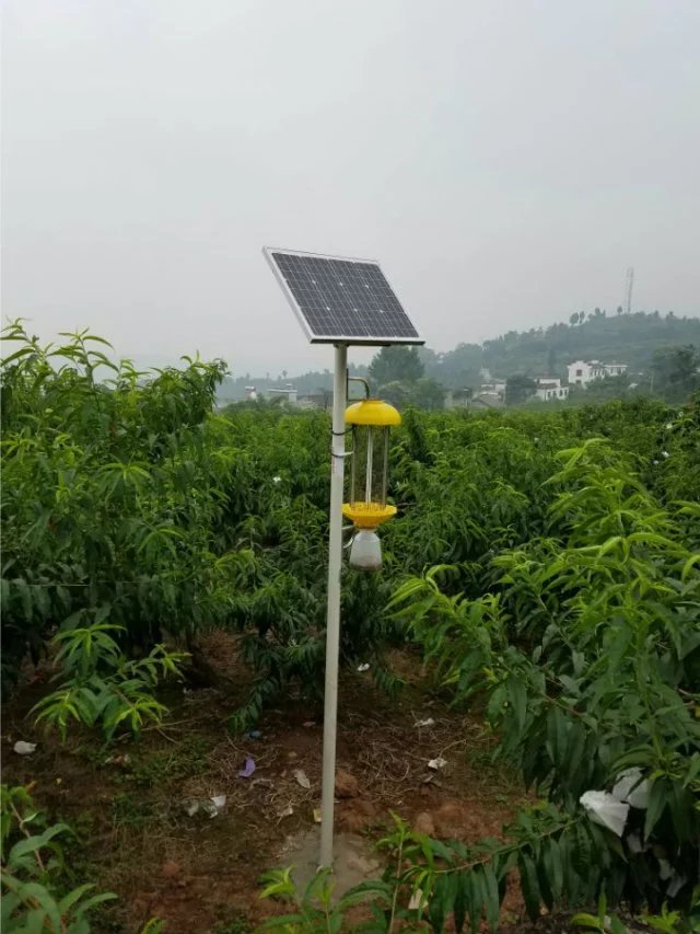 云南室外太阳能杀虫灯   大理电击杀虫灯批发价格