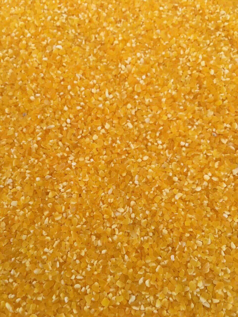 玉米渣報(bào)價(jià)圖片/玉米渣報(bào)價(jià)樣板圖 (4)