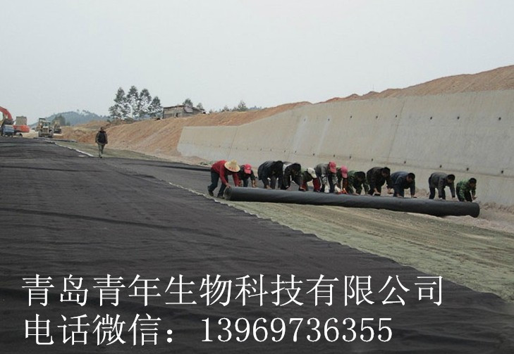 養(yǎng)護(hù)毛氈圖片/養(yǎng)護(hù)毛氈樣板圖 (3)