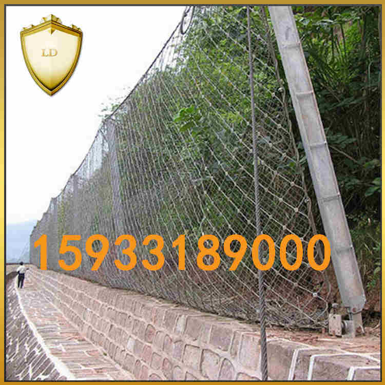 被動防護網(wǎng)圖片/被動防護網(wǎng)樣板圖 (2)