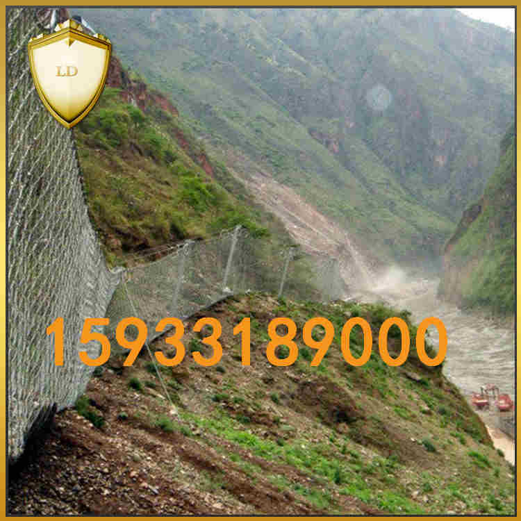 rxi被動(dòng)防護(hù)網(wǎng)廠家 質(zhì)優(yōu)價(jià)廉圖片/rxi被動(dòng)防護(hù)網(wǎng)廠家 質(zhì)優(yōu)價(jià)廉樣板圖 (3)