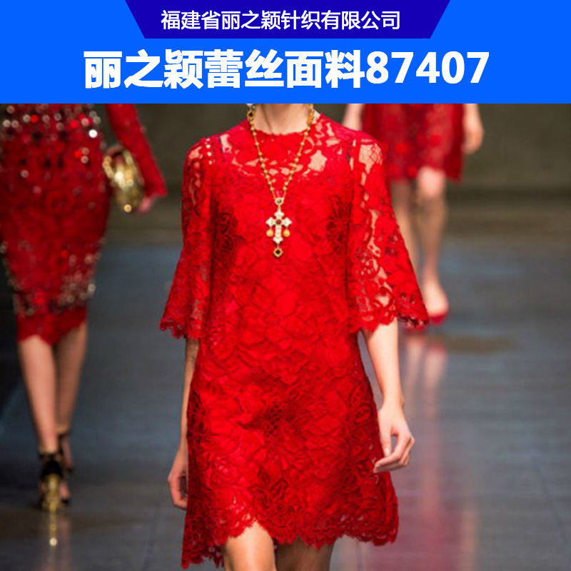 麗之穎蕾絲面料87407圖片/麗之穎蕾絲面料87407樣板圖 (4)