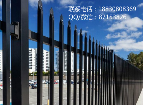 鐵藝防護柵欄圖片/鐵藝防護柵欄樣板圖 (2)