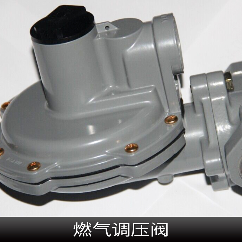 衡水燃?xì)庹{(diào)壓器廠家圖片/衡水燃?xì)庹{(diào)壓器廠家樣板圖 (4)