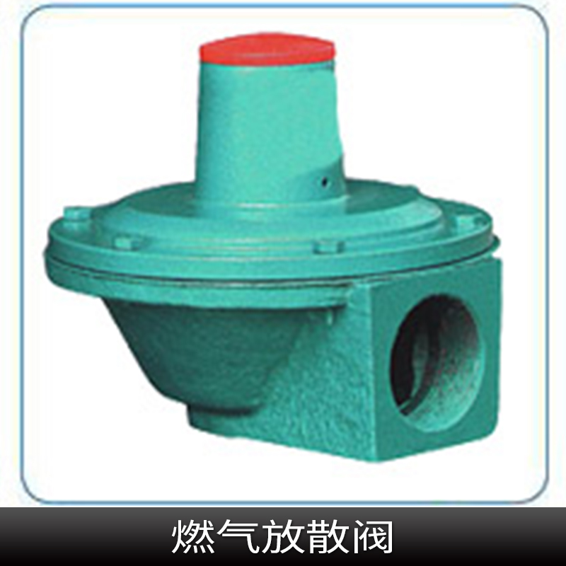 燃?xì)夥派㈤y圖片/燃?xì)夥派㈤y樣板圖 (3)