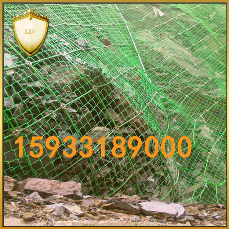 鋼絲繩網圖片/鋼絲繩網樣板圖 (4)