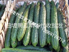 大量收購(gòu)圖片/大量收購(gòu)樣板圖 (4)