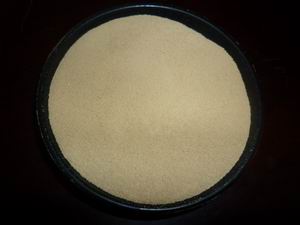 水處理用 污水處理菌種圖片