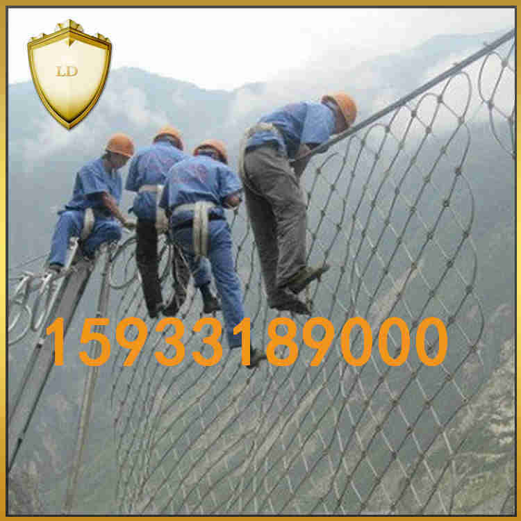 SNS被動(dòng)防護(hù)網(wǎng)廠家 被動(dòng)防護(hù)網(wǎng)圖片