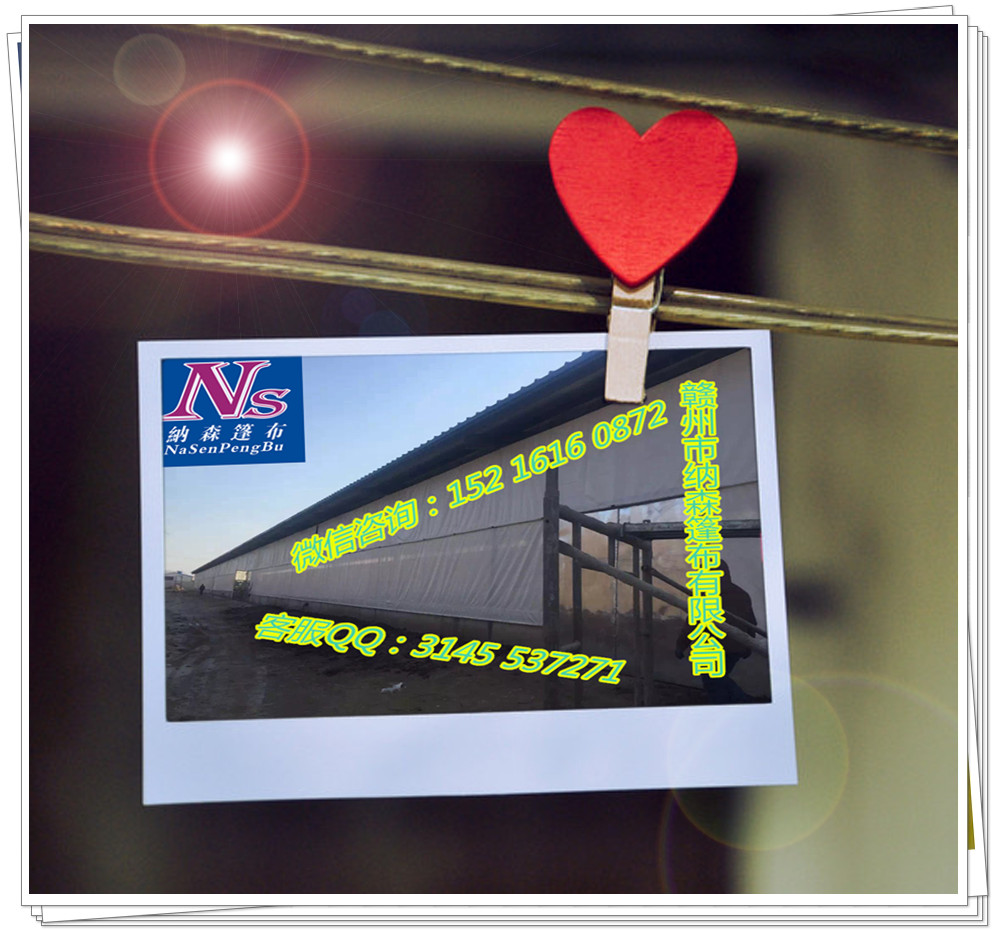 山西牛場卷簾圖片