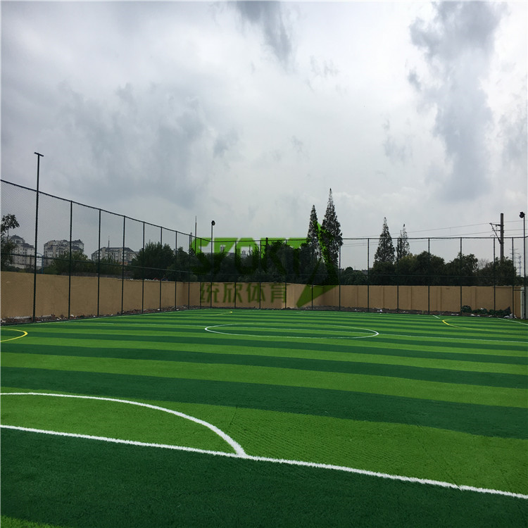 人造草坪足球場圖片/人造草坪足球場樣板圖 (2)