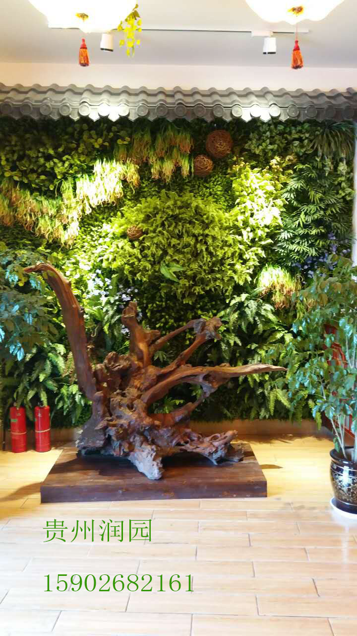 室內(nèi)綠化裝飾圖片/室內(nèi)綠化裝飾樣板圖 (2)