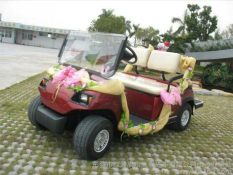 湖南高爾夫球觀光撿球車圖片/湖南高爾夫球觀光撿球車樣板圖 (1)