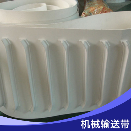 機(jī)械輸送帶圖片/機(jī)械輸送帶樣板圖 (4)