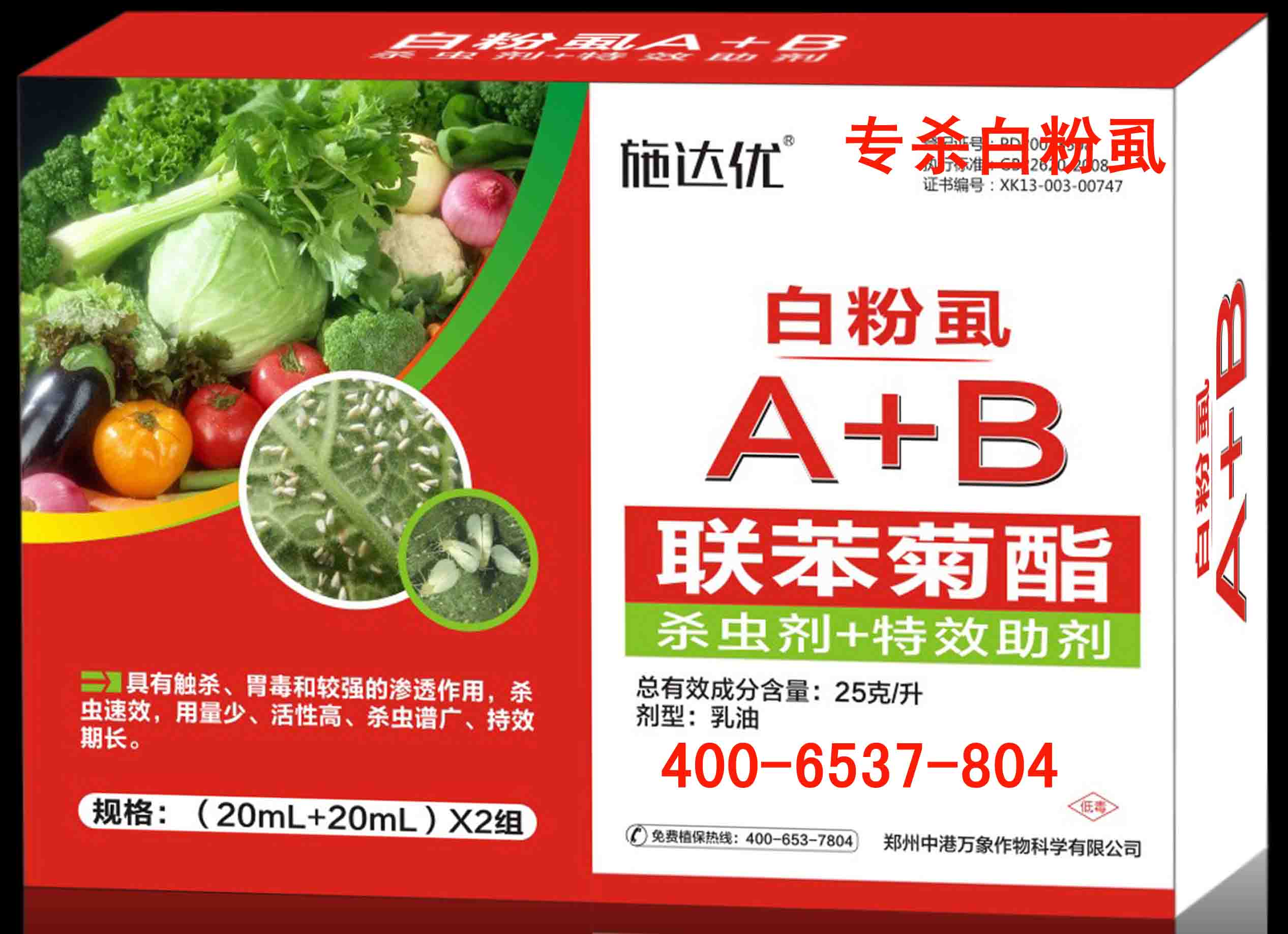 白粉虱圖片/白粉虱樣板圖 (2)