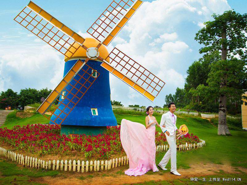 荷蘭風(fēng)車(chē)圖片/荷蘭風(fēng)車(chē)樣板圖 (4)