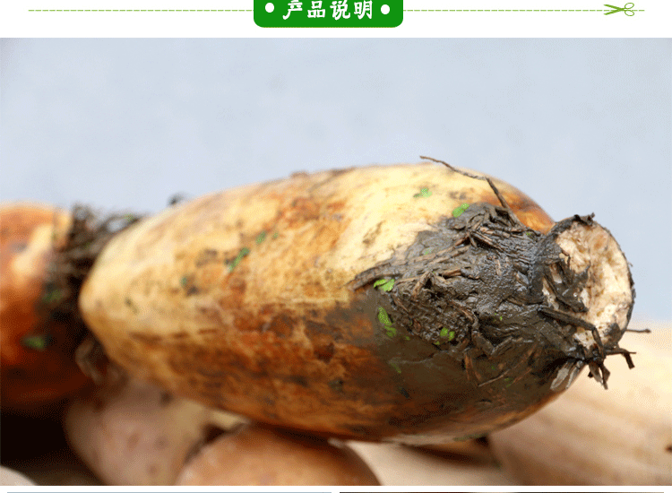 永新蔡甸蓮藕巨無霸4KG圖片