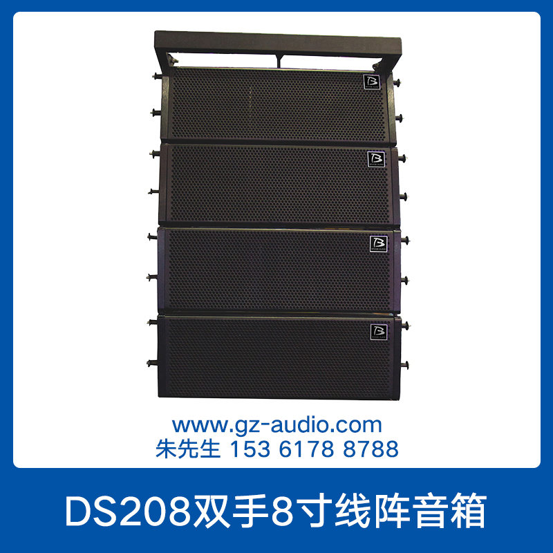 DS208双手8寸线阵音箱图片