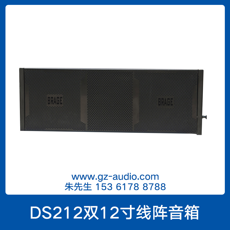 DS212雙12寸線陣音箱圖片/DS212雙12寸線陣音箱樣板圖 (2)