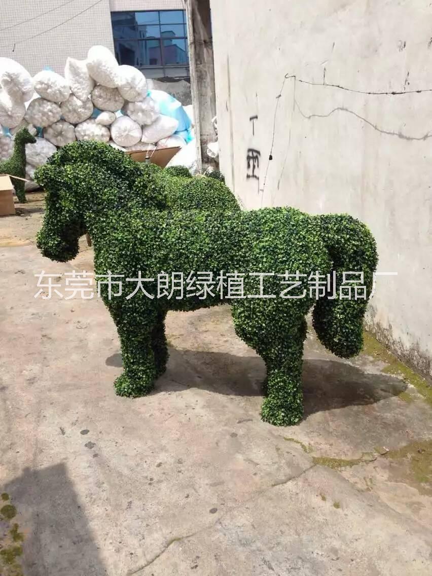 仿真植物圖片/仿真植物樣板圖 (2)